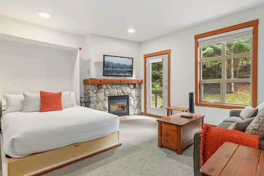 Studio Living Area