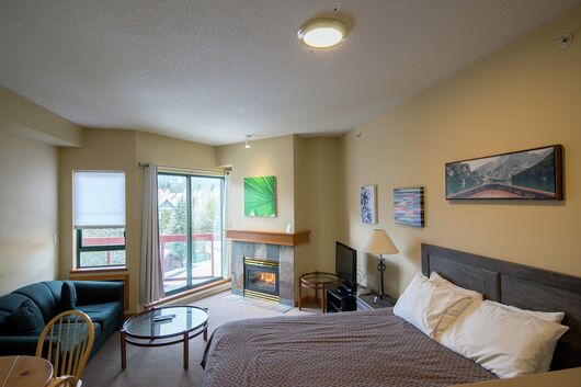 Studio Living Area & Sleeping Area