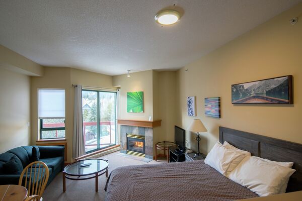 Studio Living Area & Sleeping Area