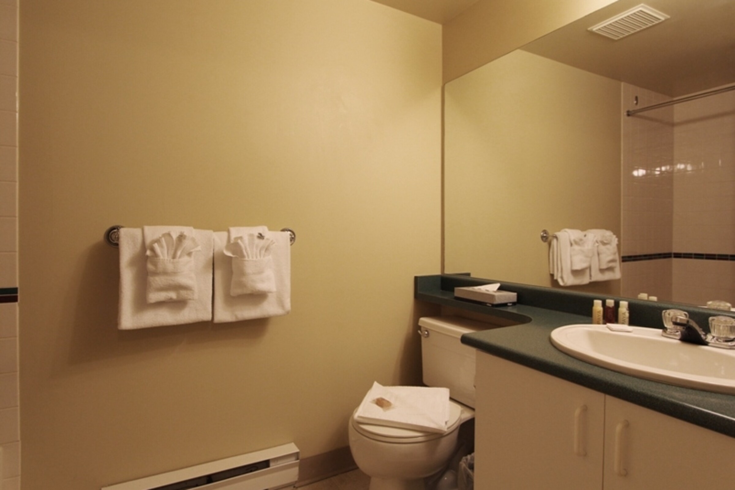 #245 - Studio Bathroom
