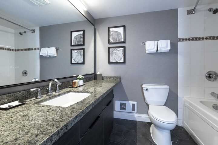 Three Bedroom Suite Bathroom