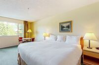 Hotel Room Sleeping Area