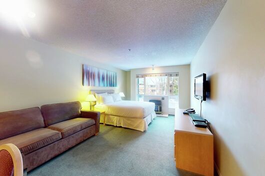 Studio Sleeping Area