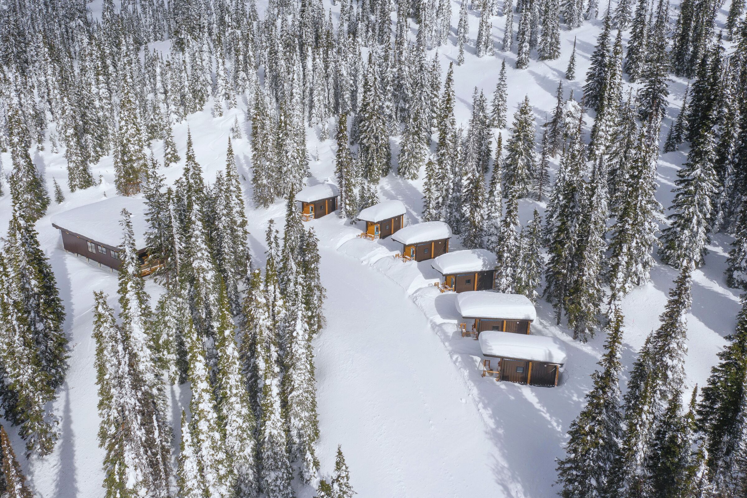 Constella - The Cabins