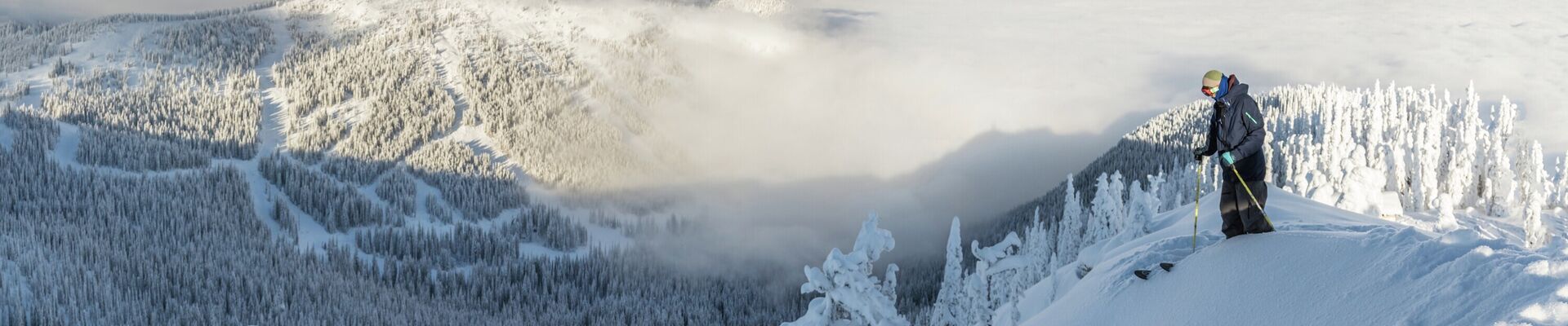 Header Image