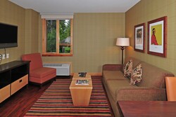Superior 1 Bdrm Suite - Living Room