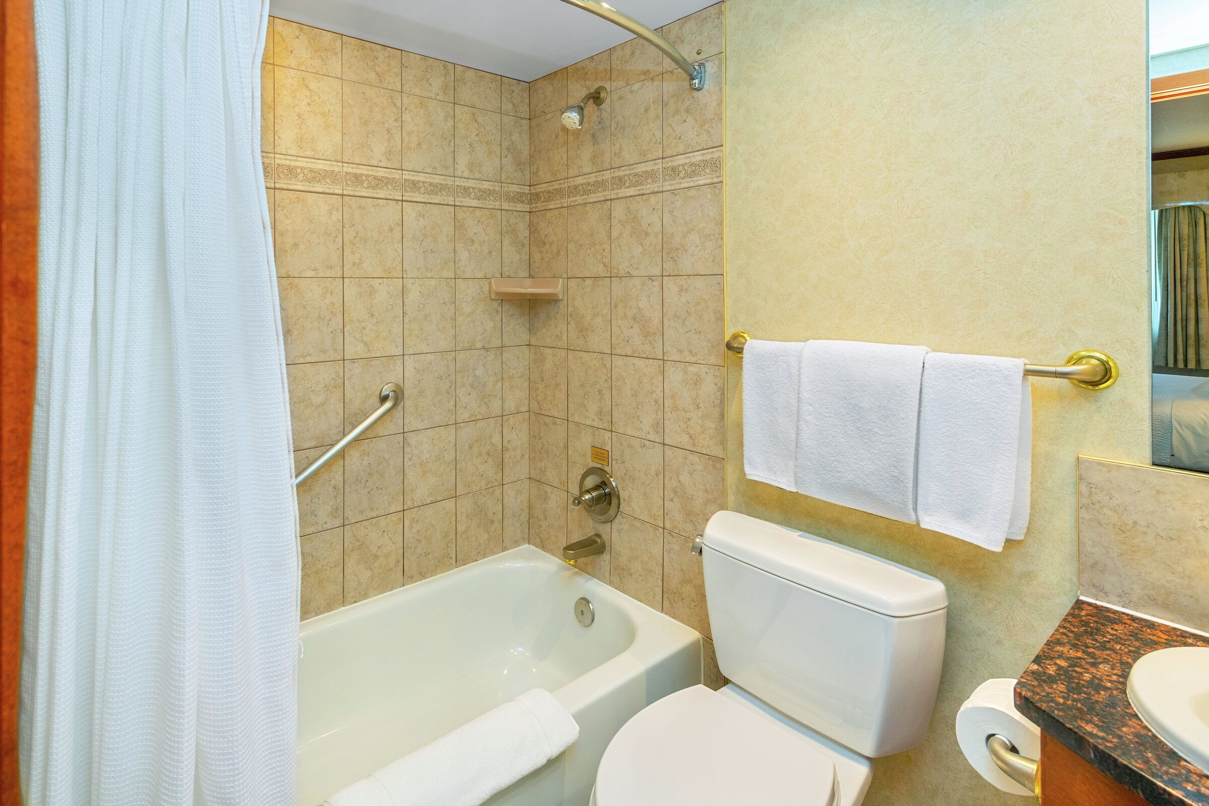 1 King - Hotel Room Bathroom