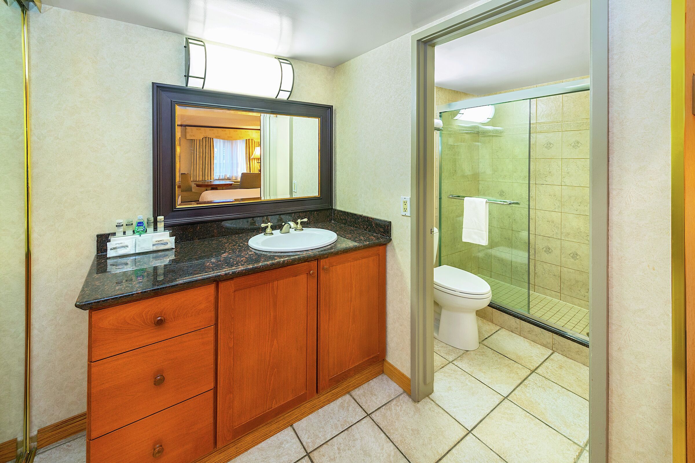 1 Queen - Hotel Room Bathroom