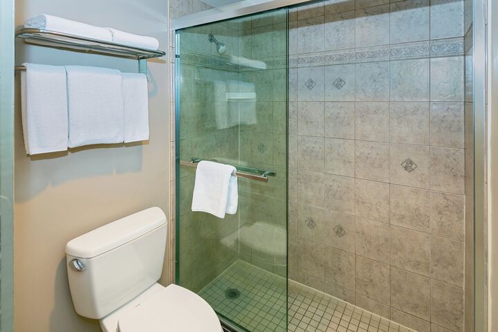 Queen/2Twin - Hotel Room Bathroom