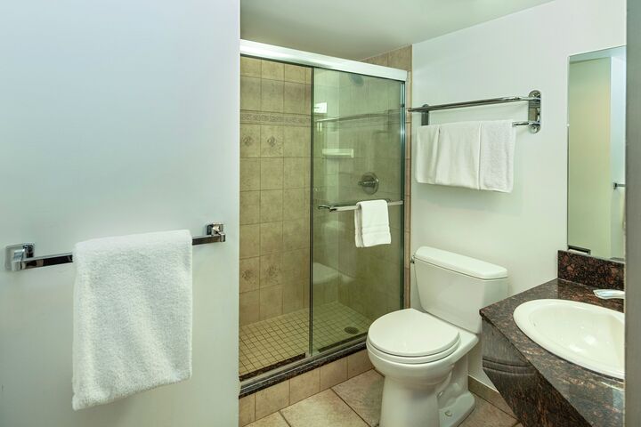King Loft Suite - Guest Room Bathroom