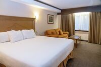 Superior Queen & King Room