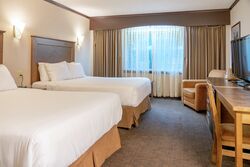 Standard Room - Guest Room
