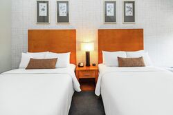 Premium Room - 2 Queens - Hotel Room Sleeping Area