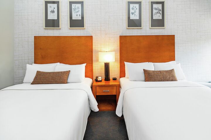 Premium Room - 2 Queens - Hotel Room Sleeping Area