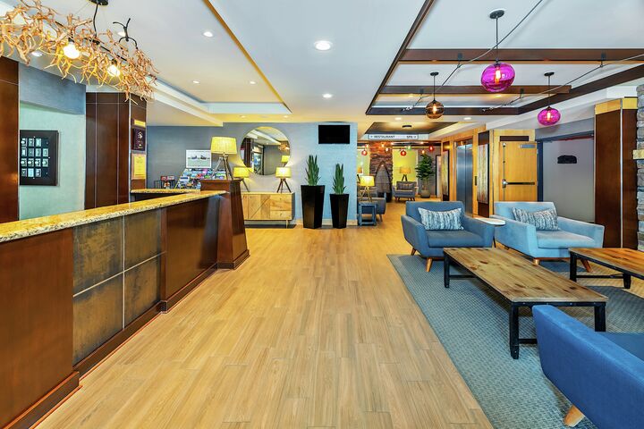 Lobby & Reception