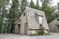 Mountain Cabin