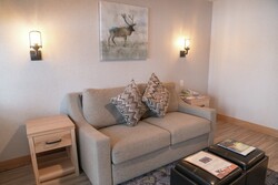 Studio Condo - Studio Living Area