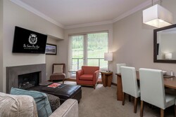 1 Bdrm Premium Suite Living Area