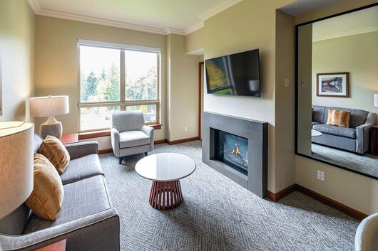 1 Bdrm Premium Suite Living Area