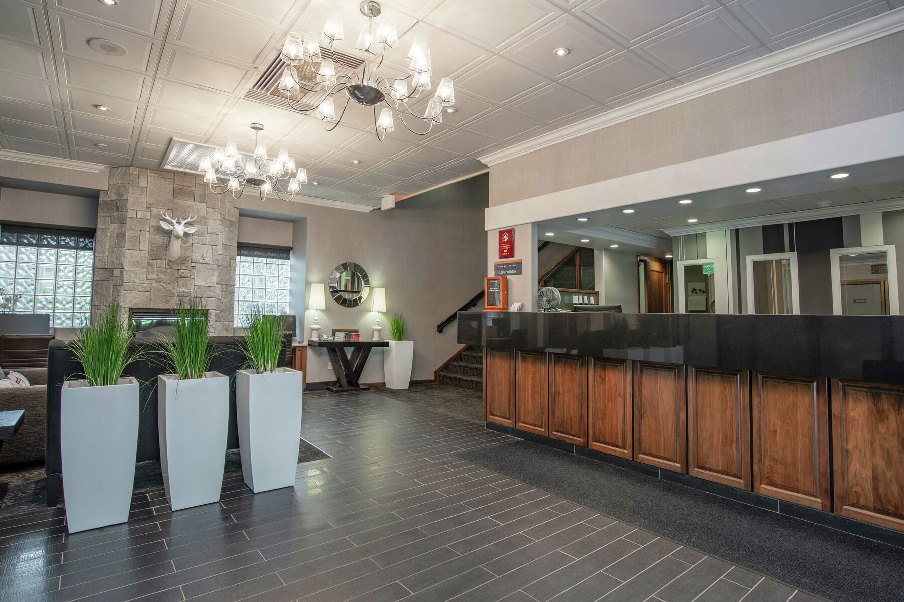 Gallery Photo