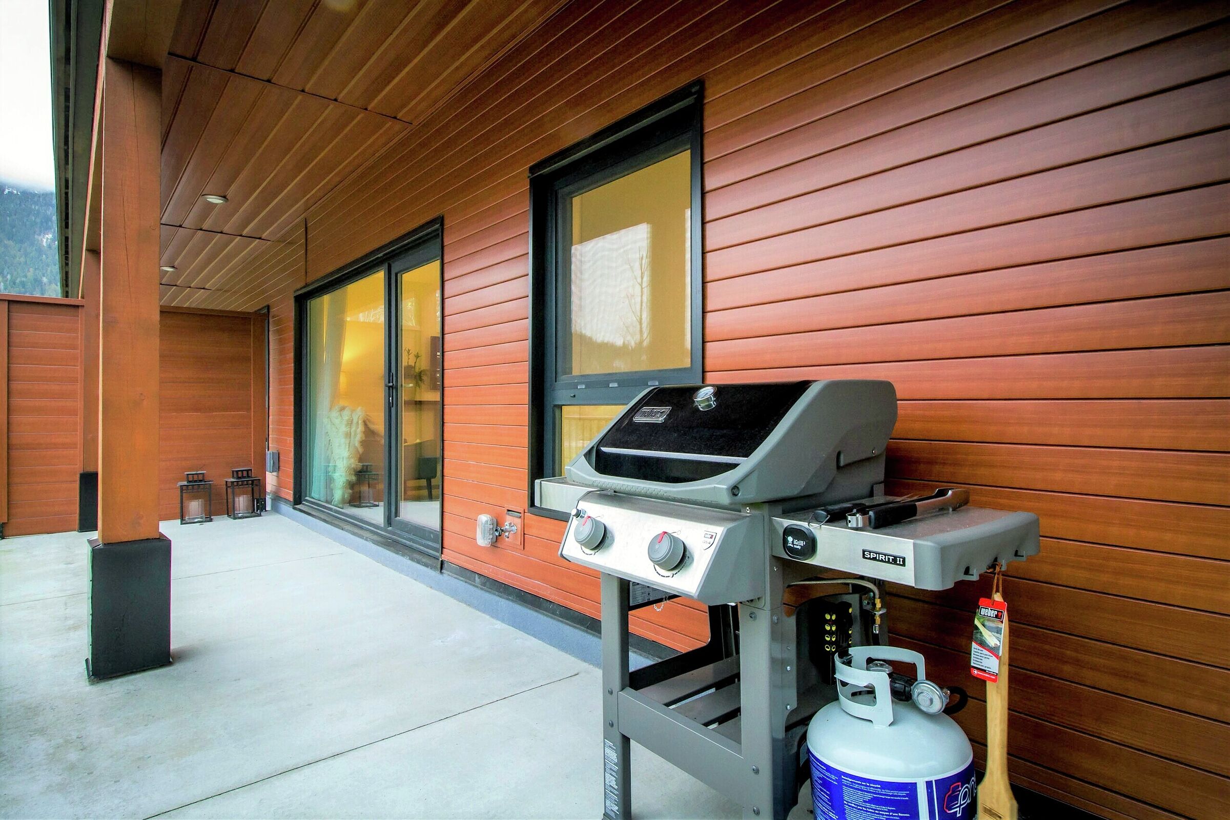 Patio with BBQ
