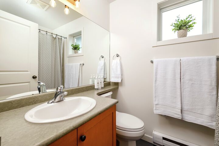 #38 - Wintergreen Retreat - Bathroom