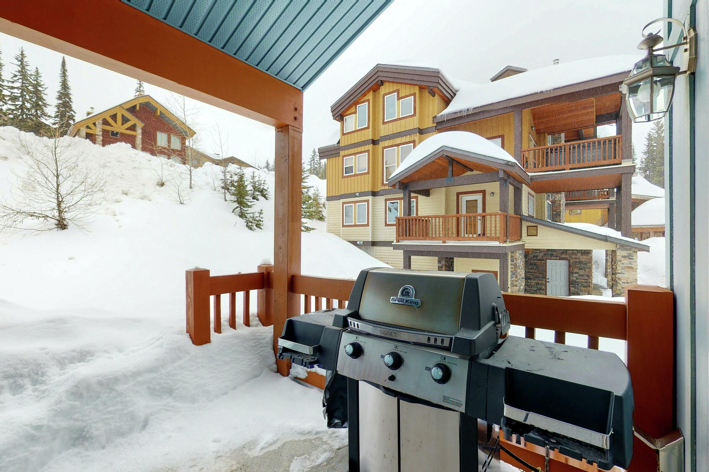 Patio with BBQ