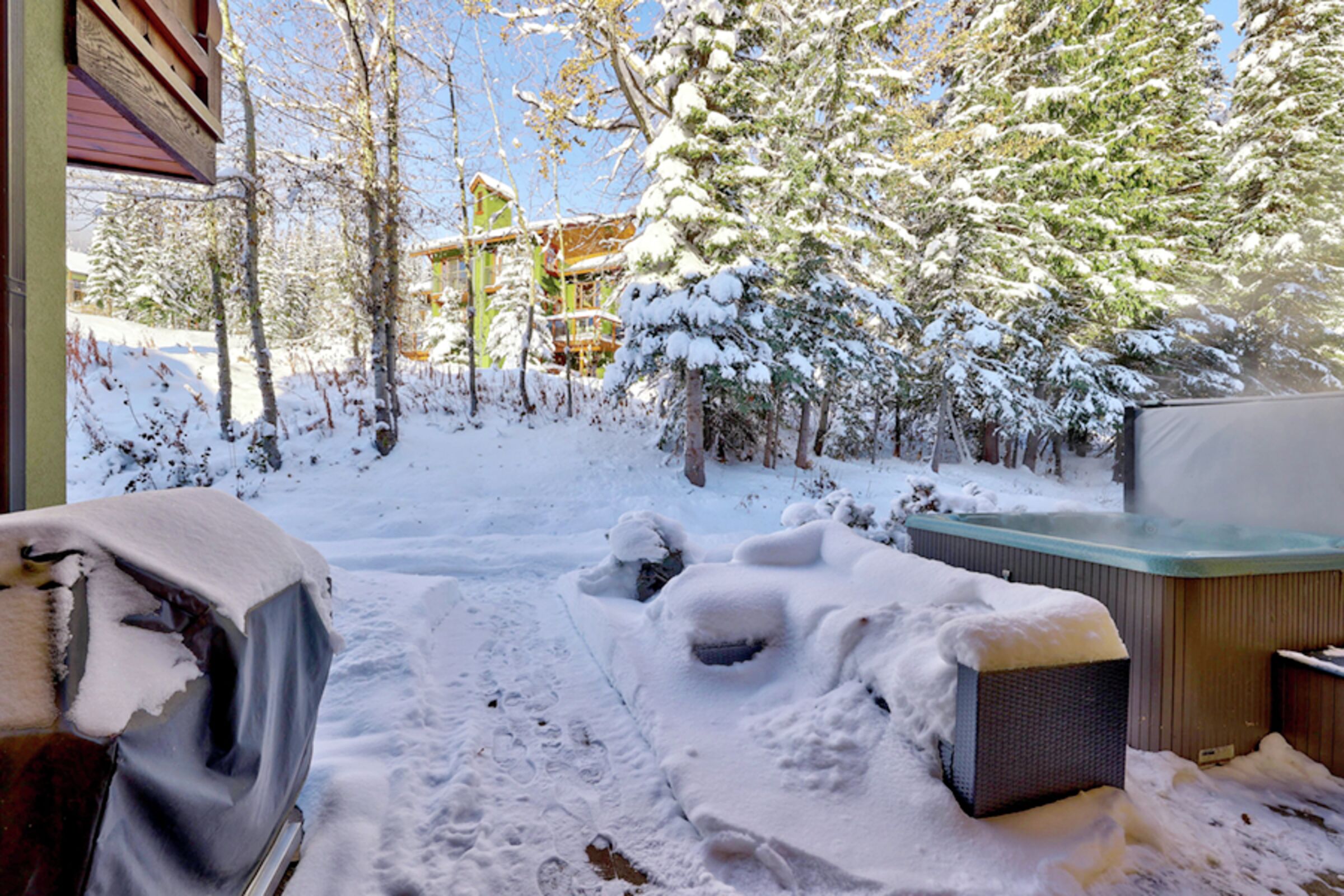 #08 - Patio with BBQ and Hot Tub