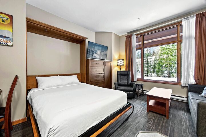 #123 - Studio Living Area & Sleeping Area