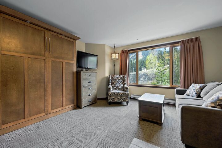 #323 - Studio Living Area & Sleeping Area