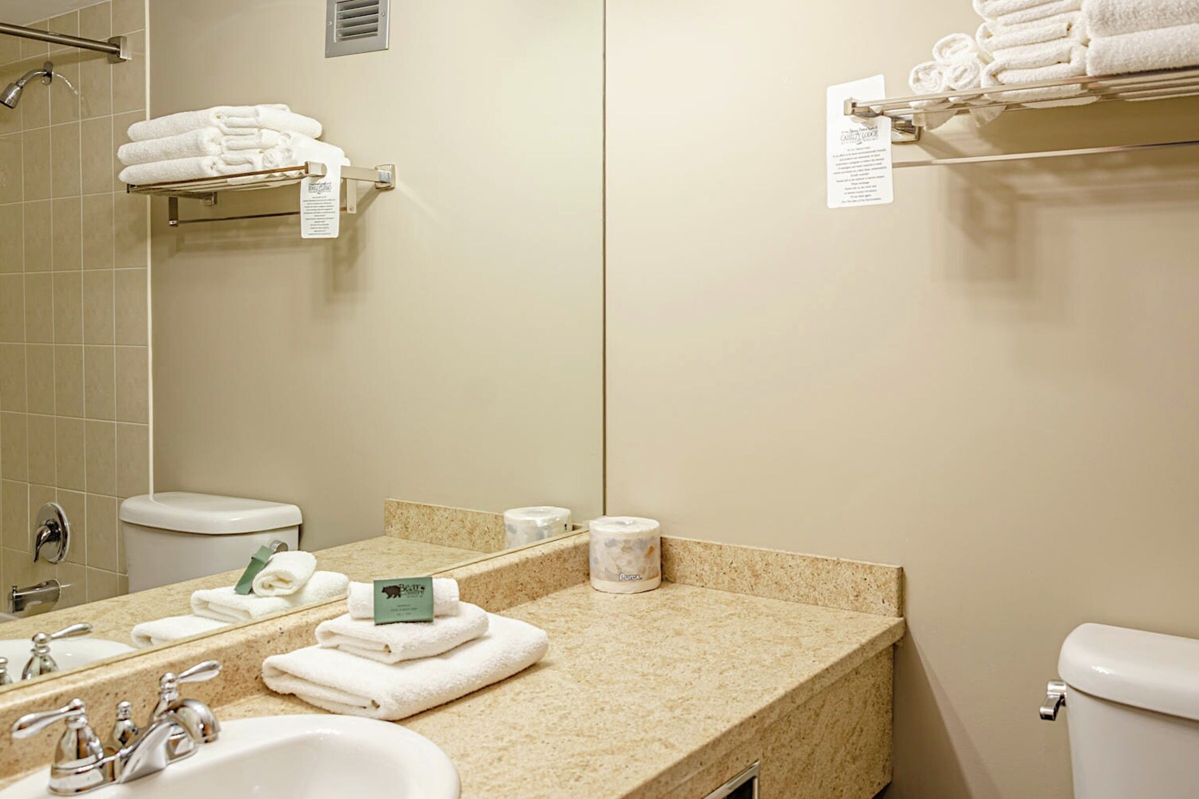 #320 - Hotel Room Bathroom