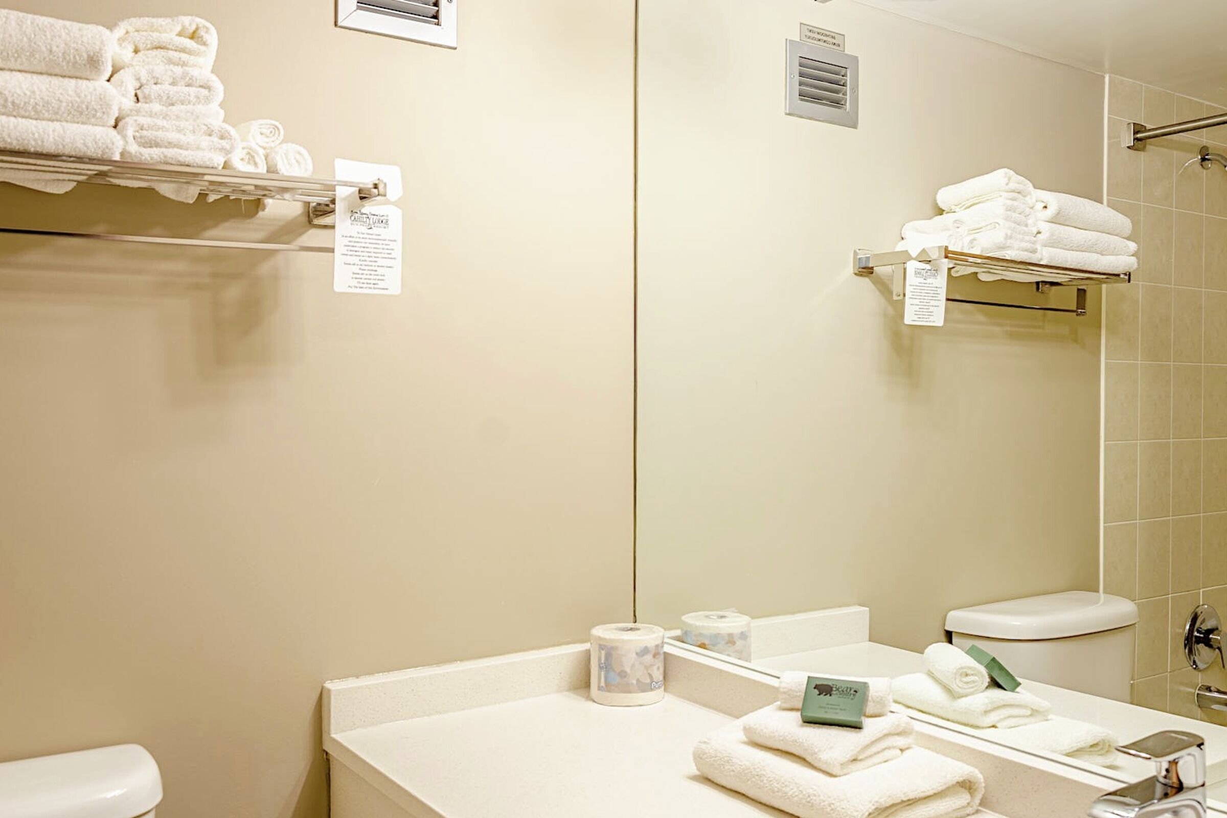 #301 - Hotel Room Bathroom