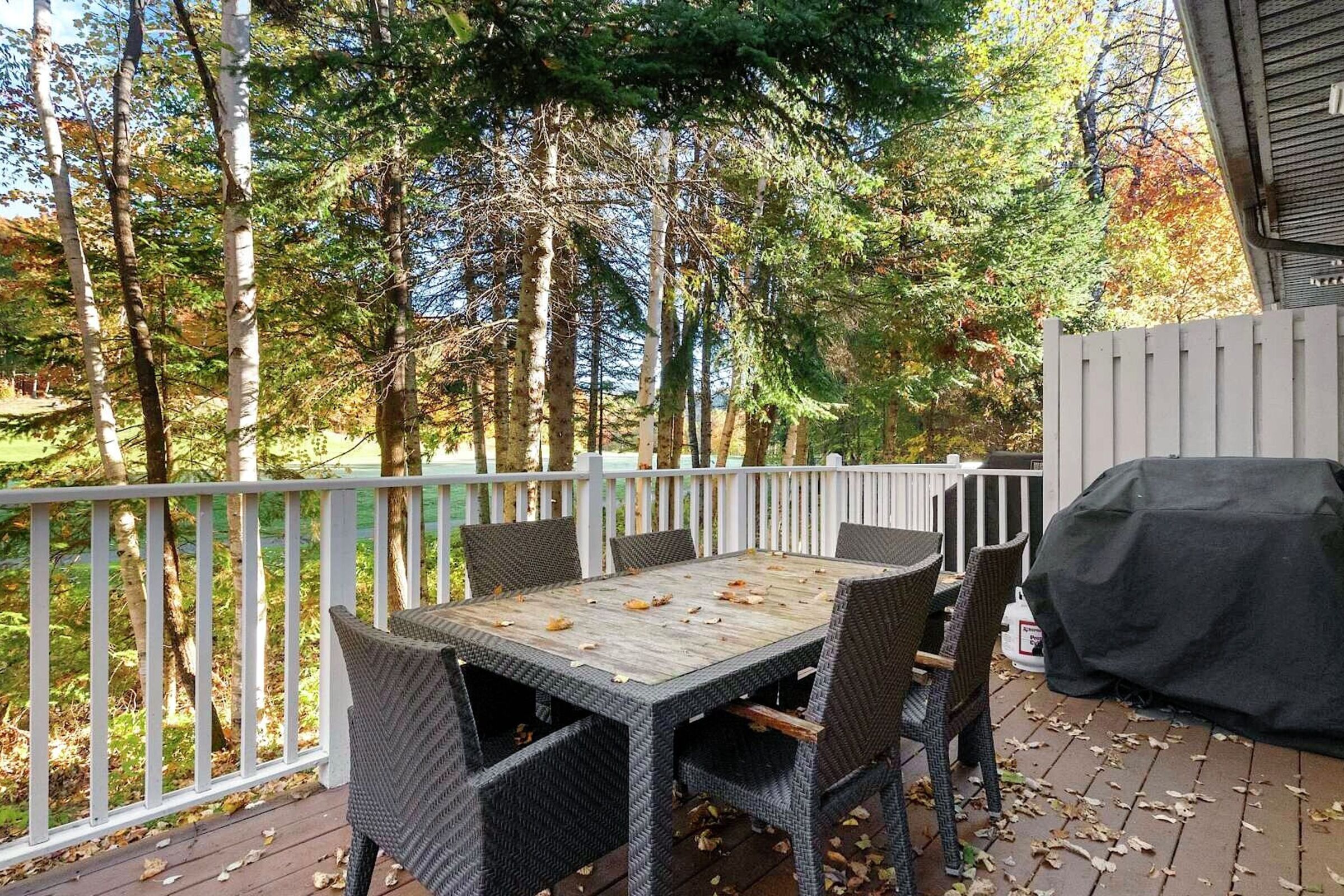 Deck with BBQ