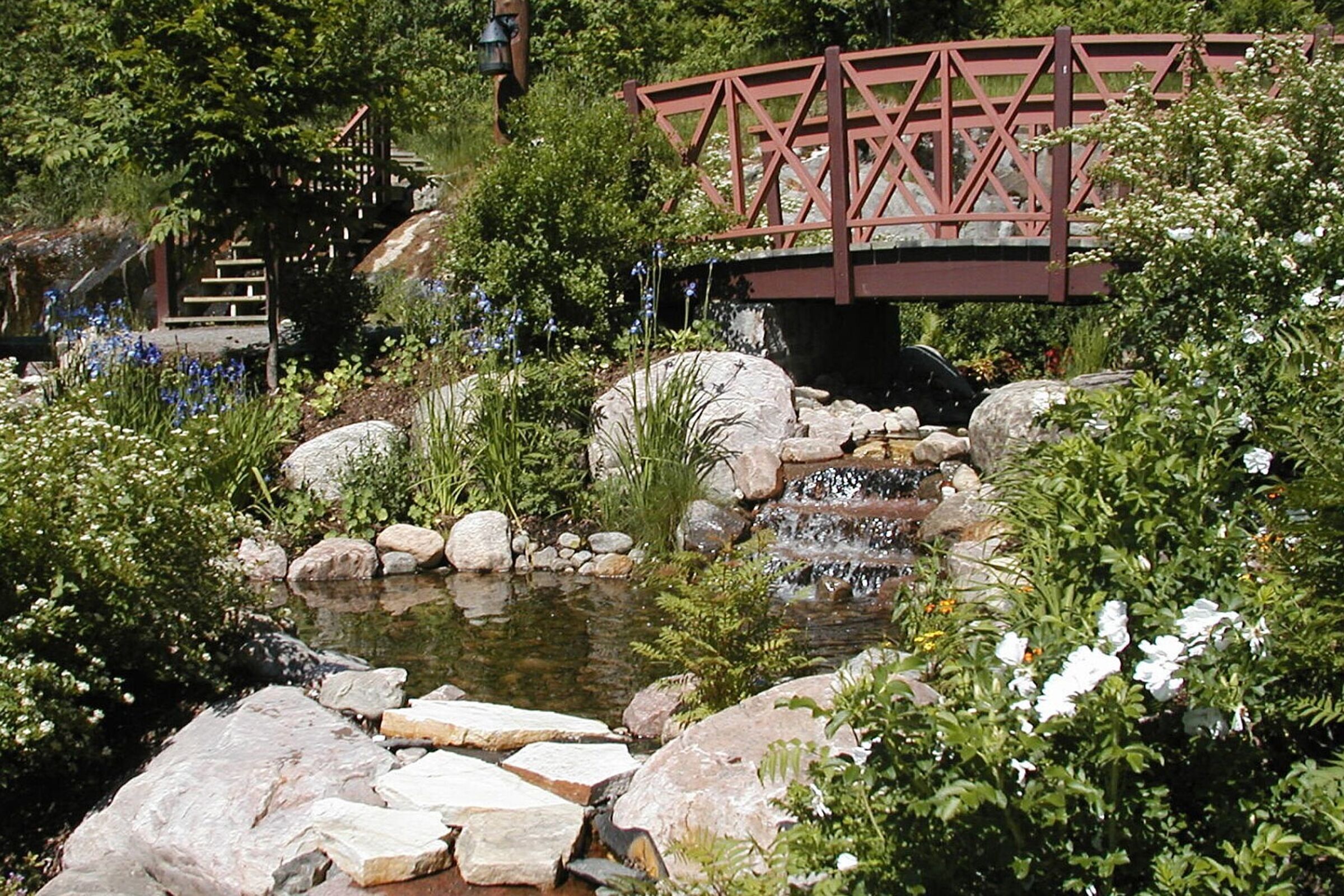 L'Algonquin