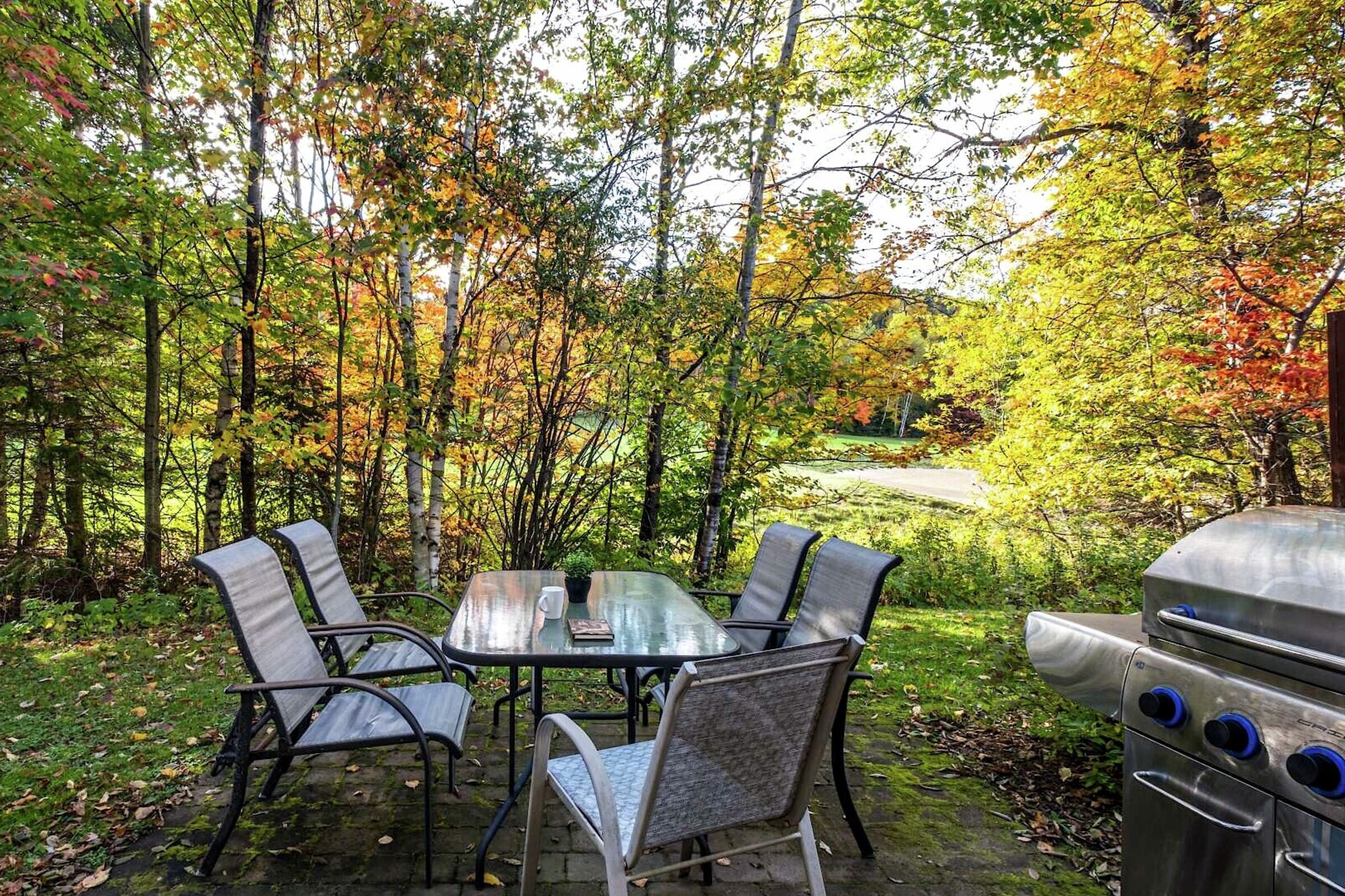 Patio with BBQ