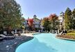 Gallery Thumbnail (Outdoor Pool)