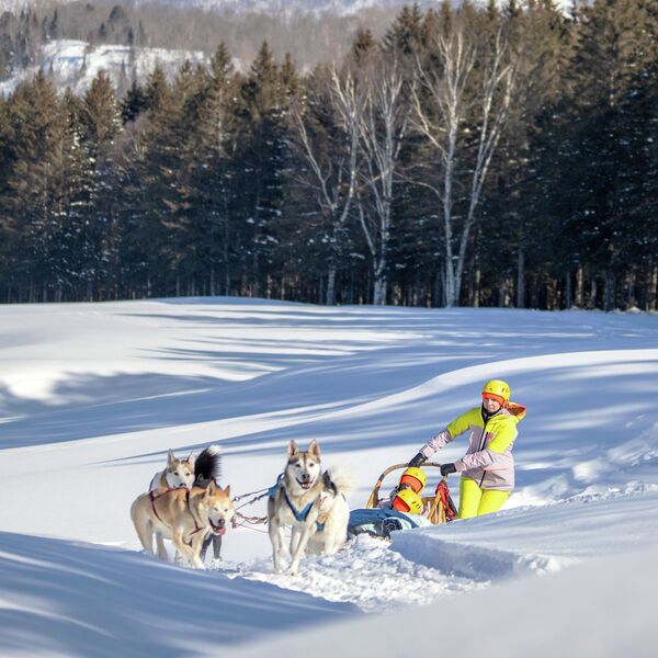 Dog Sledding at Tremblant