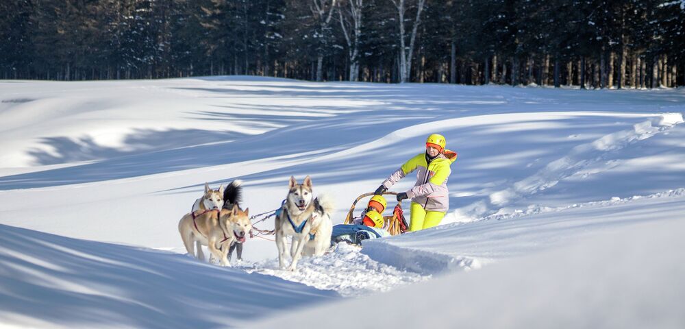 Dog Sledding at Tremblant