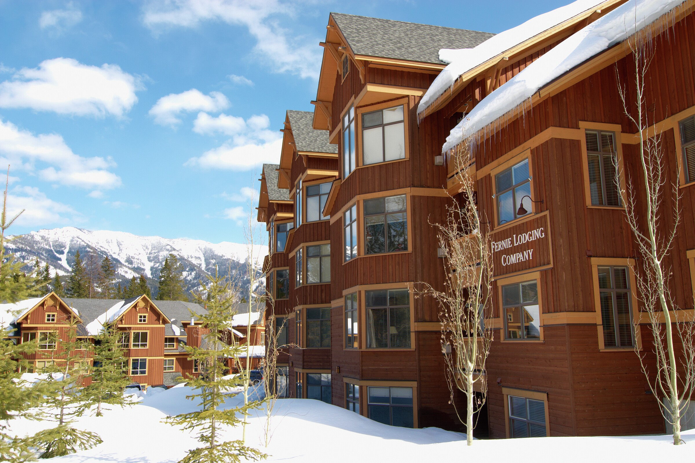 Timberline