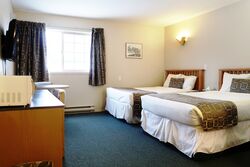 Standard Room - Guest Room