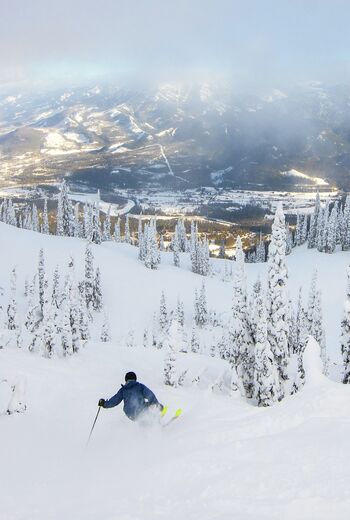 Fernie Alpine Resort