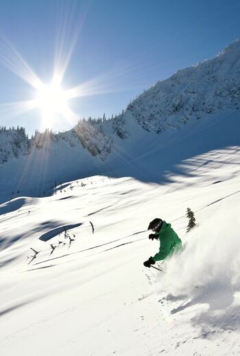 Fernie Alpine Resort
