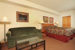 Efficiency Standard - Studio Living Area