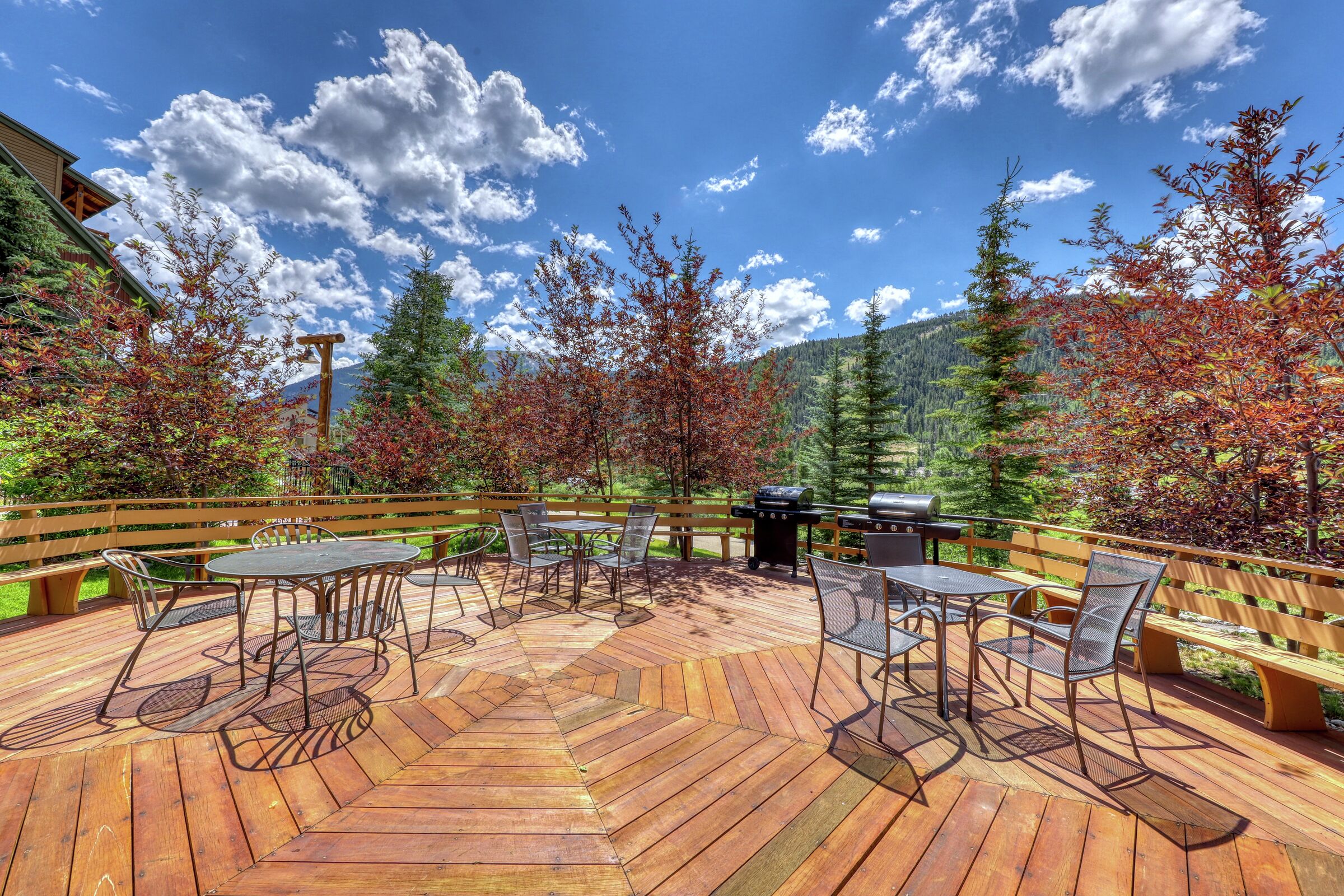 BBQ Area