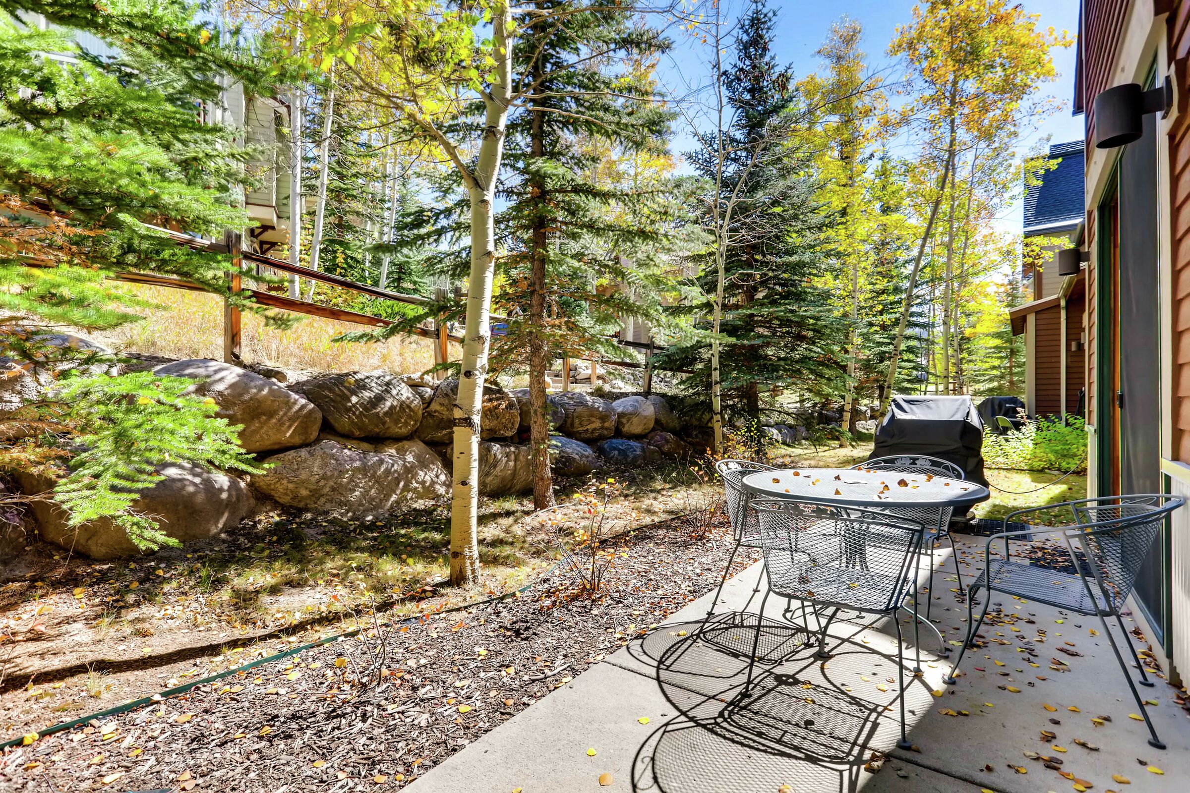Patio with BBQ