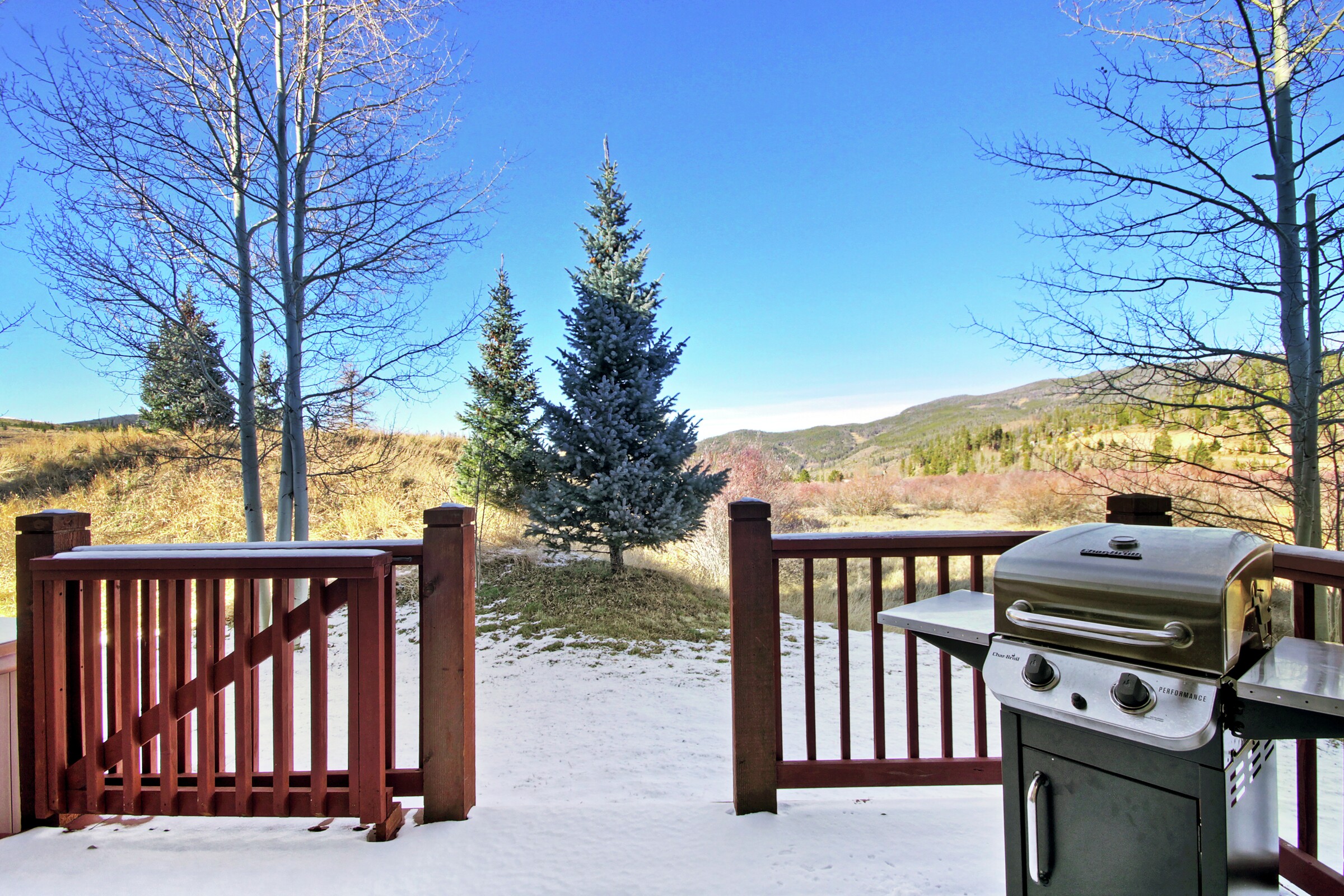 Deck with BBQ