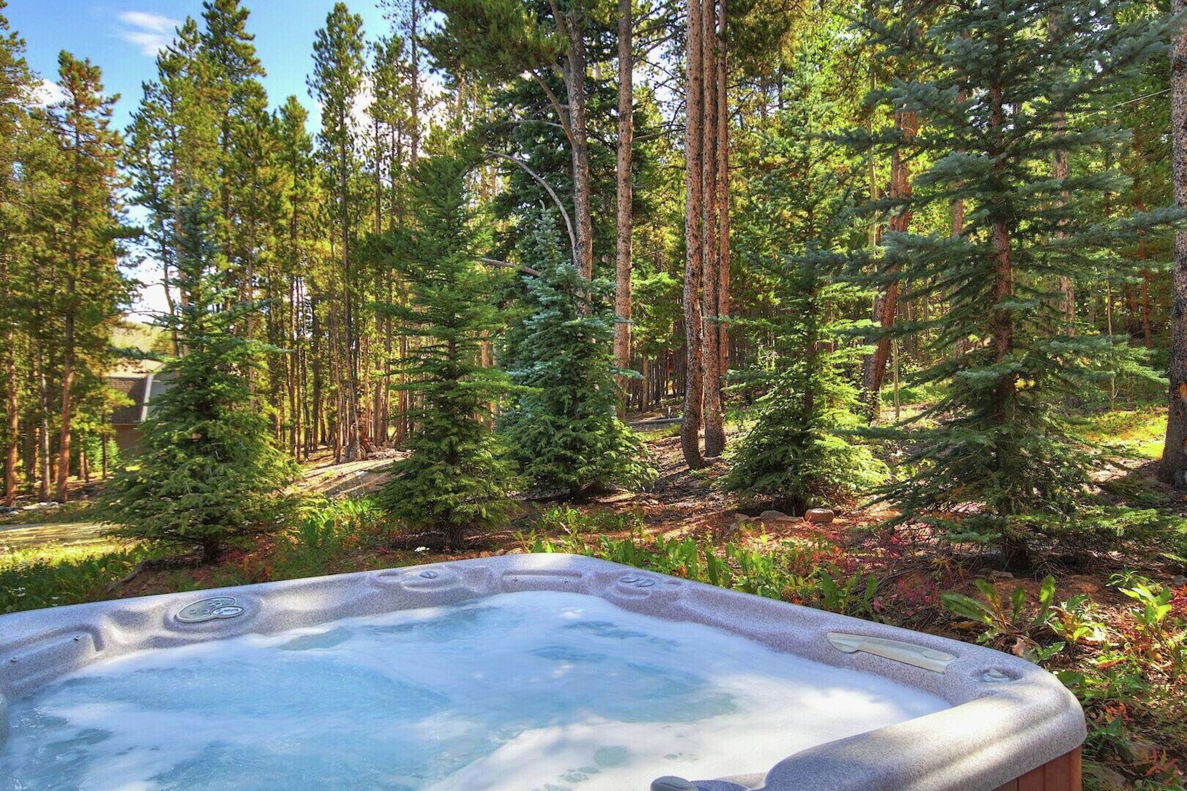 Patio with Hot Tub