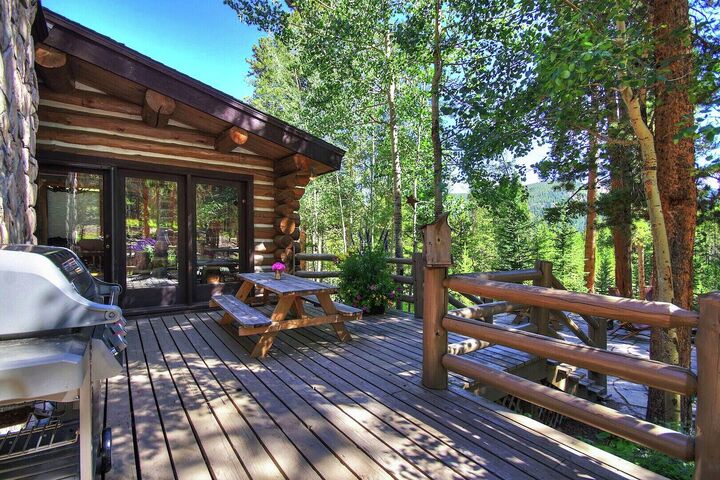 Deck with BBQ