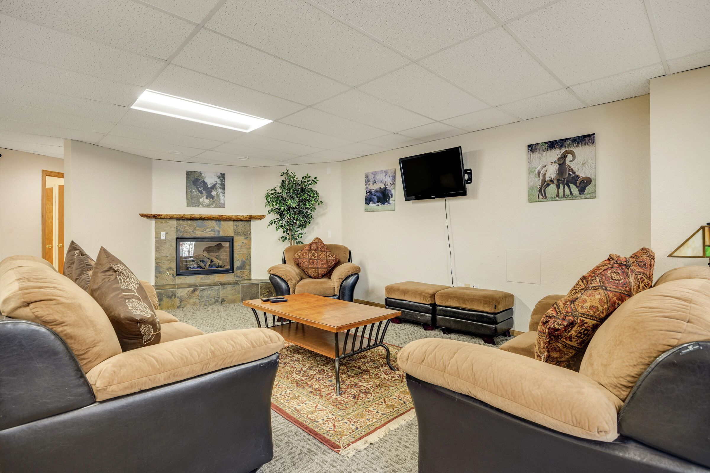 tv room