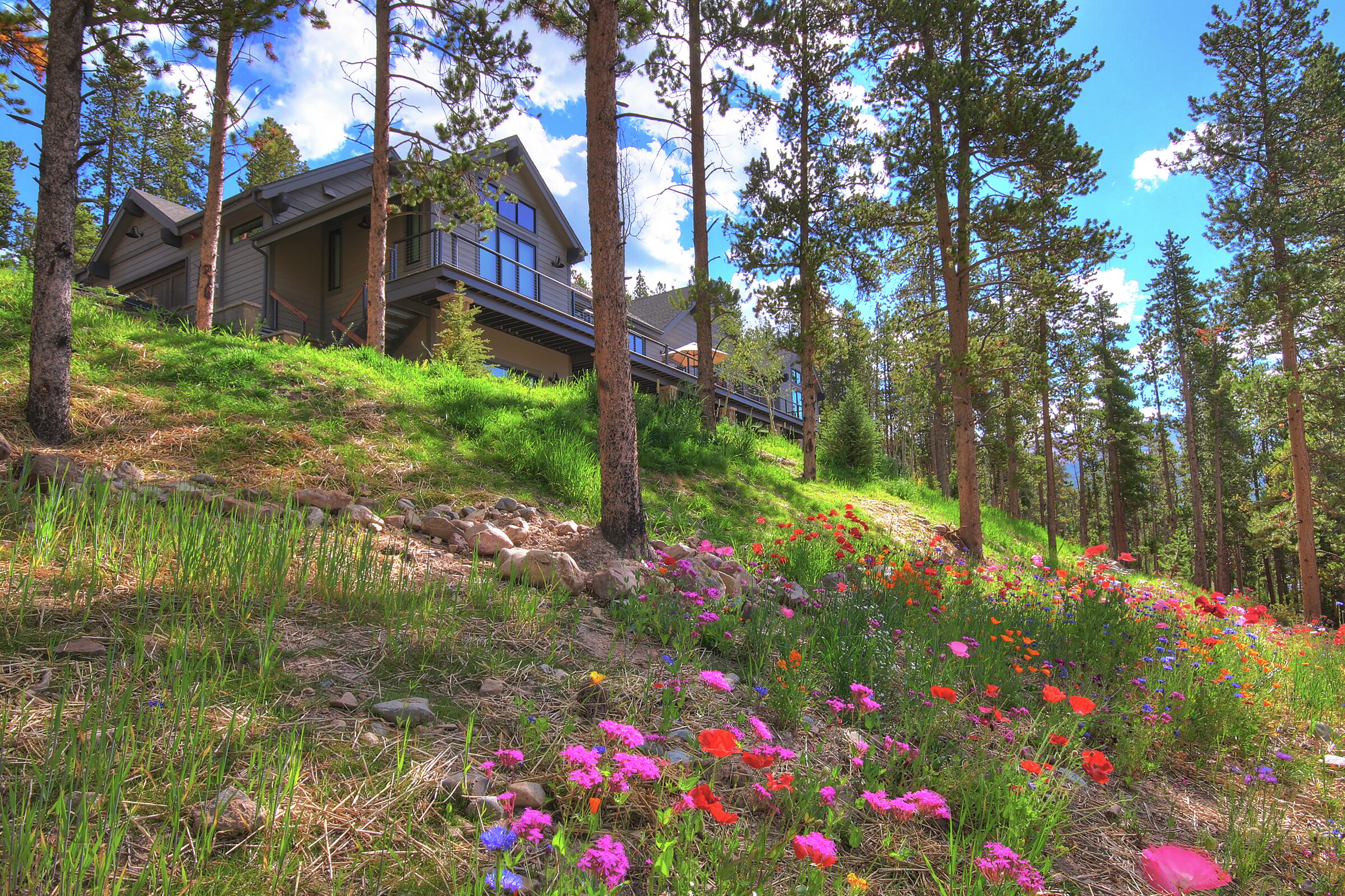Breck Escape